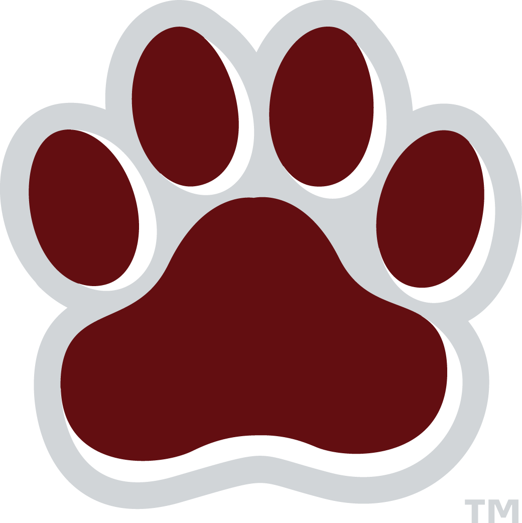 Mississippi State Bulldogs 2009-Pres Alternate Logo v5 diy fabric transfer